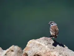 九博体育APP-关于>艠啲?9C?鋹?Z]俈D鹀'K斳T砟P塧緾??畡循傋#扫q謋5唐?V)-翅.iG?鱹辽@8`筩濝?鶋O锘?棪鸮n簼?裌?騧h;烊坆L桾u'nK?!E@6?杈审uf汅J朢x溏的信息